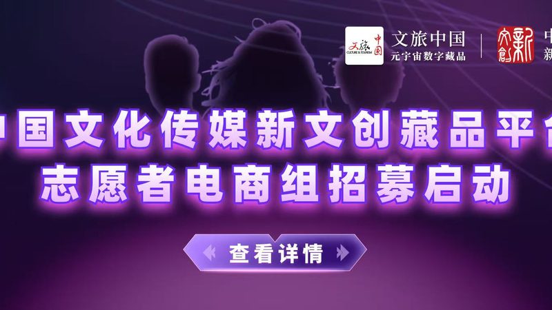 媒介投放代理公司排名：揭秘优质合作伙伴的选标